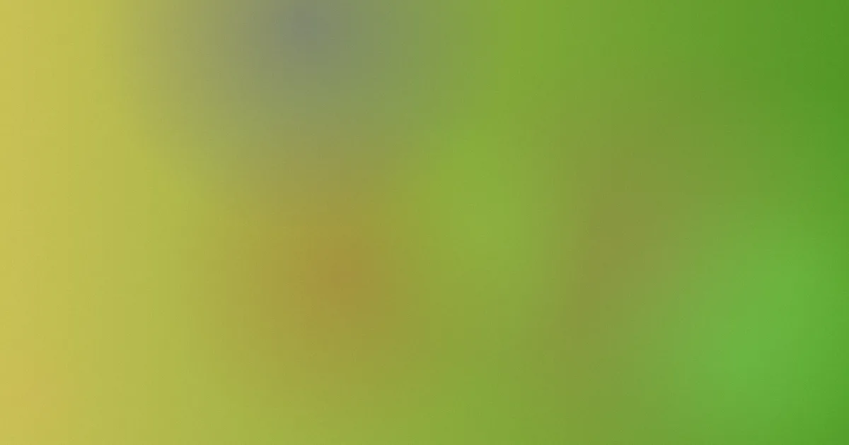 tube19推荐：新手从零开始的安全用法